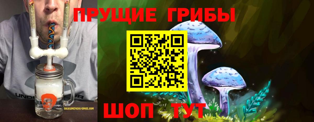 Псилоцибиновые грибы мицелий Курчатов