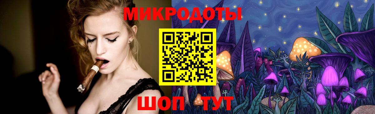 Курчатов  Псилоцибиновые грибы Psilocybe  купить наркоту  Псилоцибиновые грибы прущие грибы  Вход с VPN 
