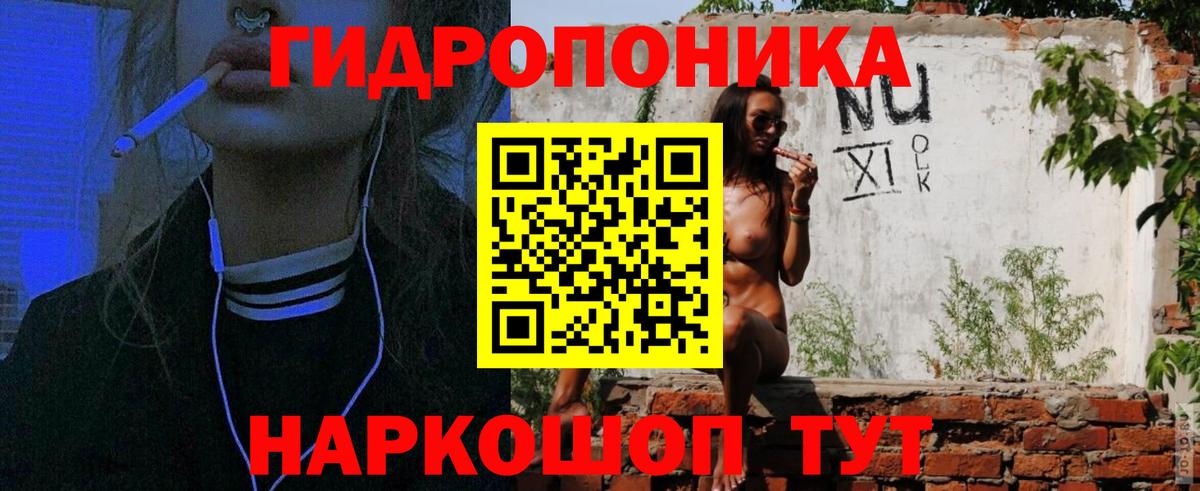 Конопля VHQ  Вход с VPN  Конопля планчик  Курчатов 